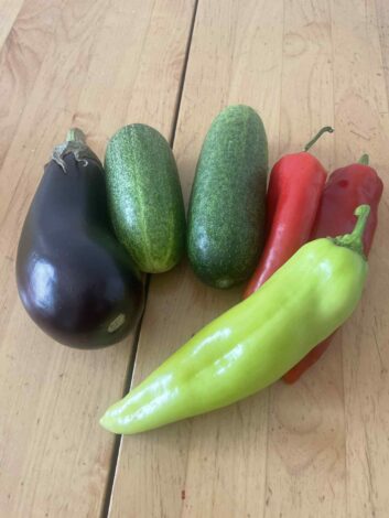 ビタミンの秘密【あいの部屋 ナースの視点から見るセルビア・第３回】